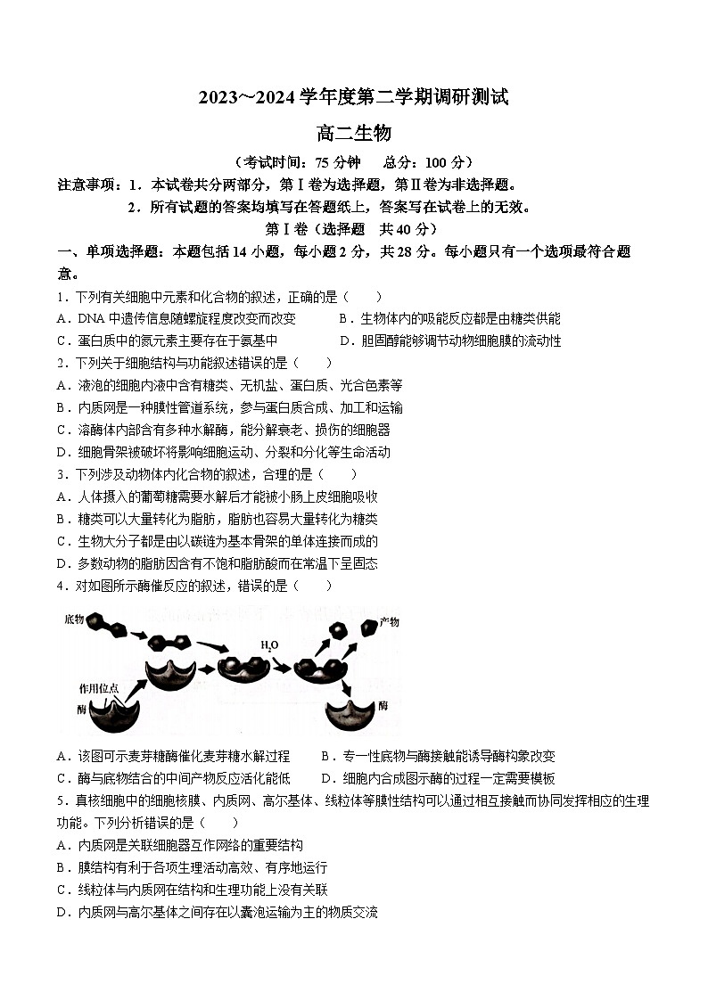江苏省泰州市靖江市高级中学2023-2024学年高二下学期5月月考生物试题(无答案)01