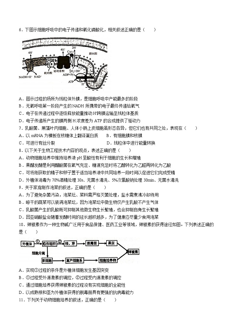 江苏省泰州市靖江市高级中学2023-2024学年高二下学期5月月考生物试题(无答案)02