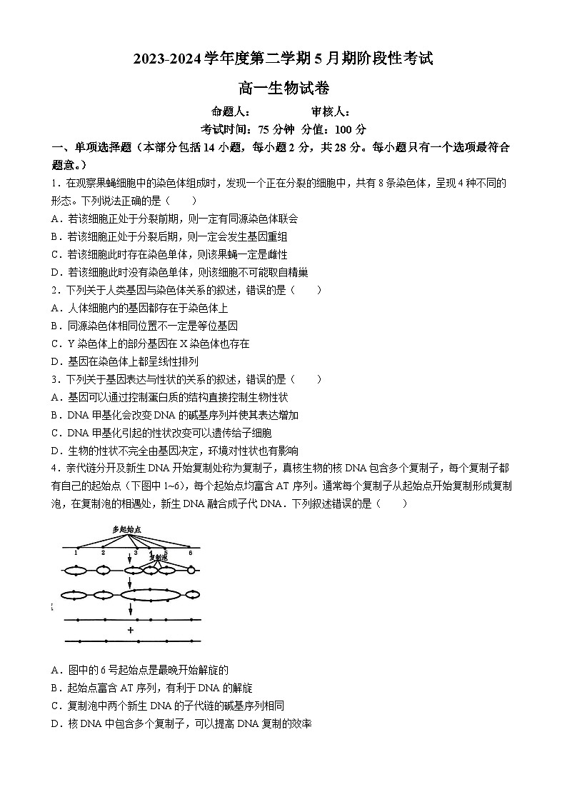 江苏省无锡市锡东高级中学2023-2024学年高一下学期5月月考生物试题(无答案)01