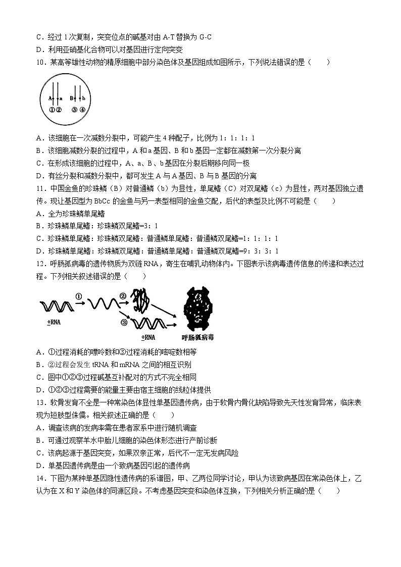 江苏省无锡市锡东高级中学2023-2024学年高一下学期5月月考生物试题(无答案)03