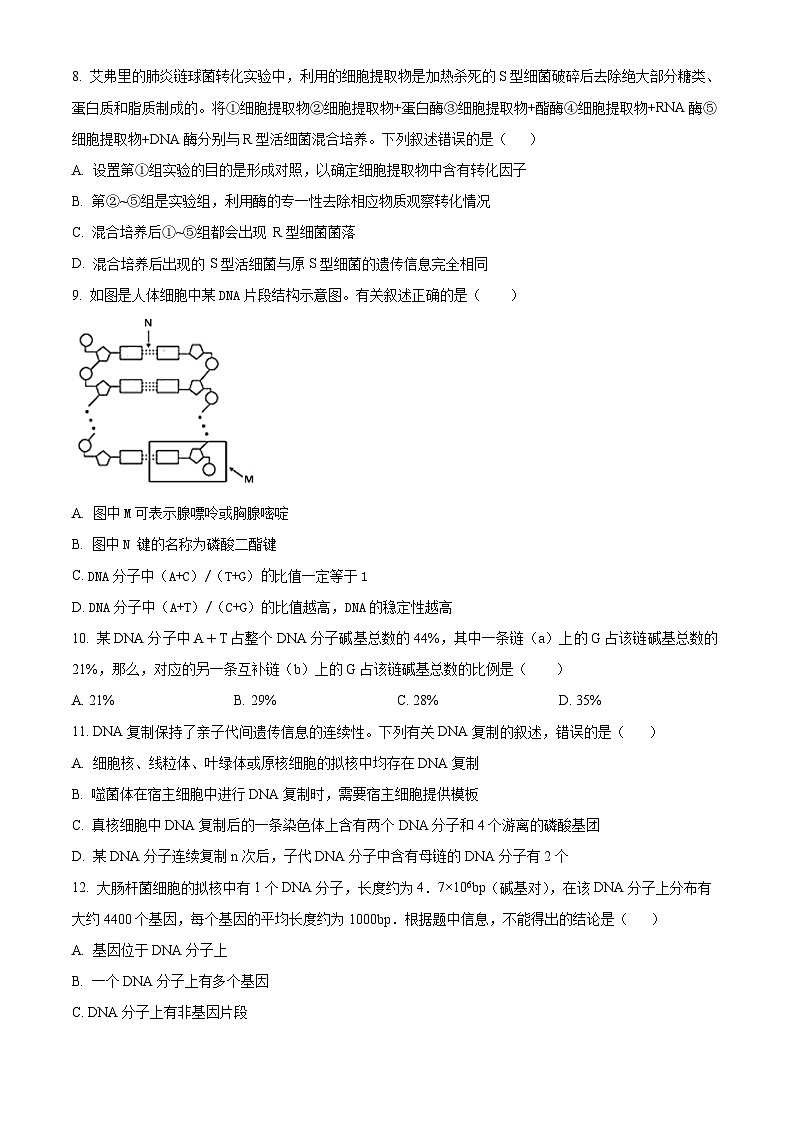 广东省东莞市东华高级中学，东华松山湖高级中学联考2023-2024学年高一下学期5月期中生物试题（学生版）第3页