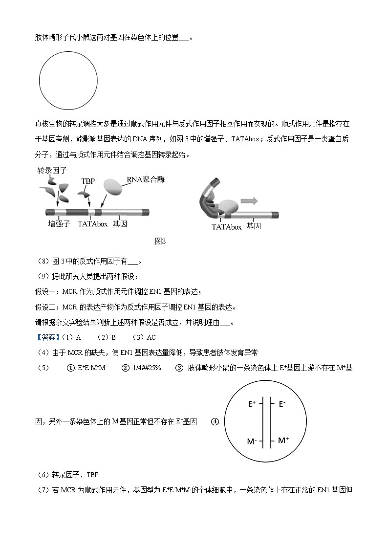上海市华东师范大学第二附属中学2023-2024学年高二下学期5月月考生物试题（学生版+教师版）02