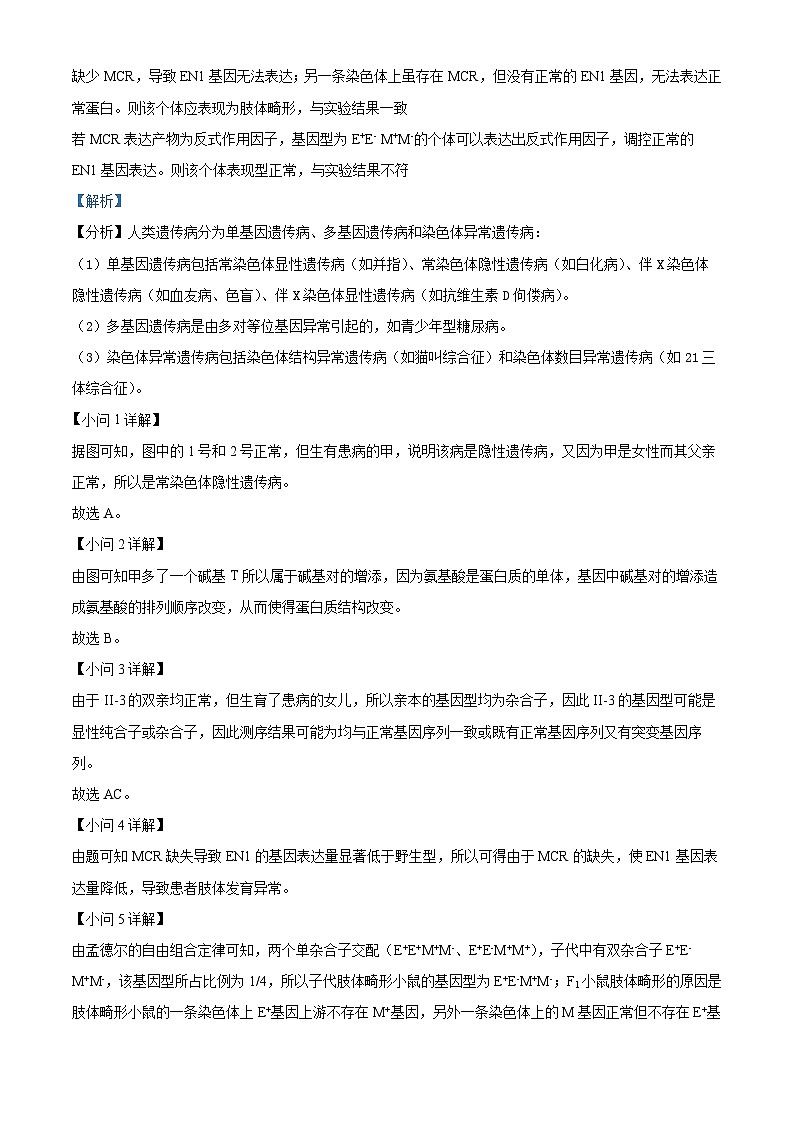 上海市华东师范大学第二附属中学2023-2024学年高二下学期5月月考生物试题（学生版+教师版）03