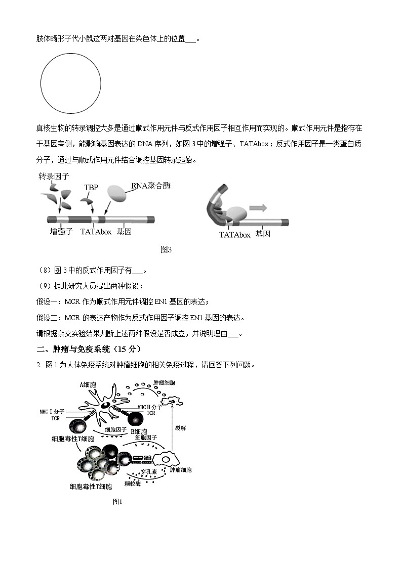 上海市华东师范大学第二附属中学2023-2024学年高二下学期5月月考生物试题（学生版+教师版）02