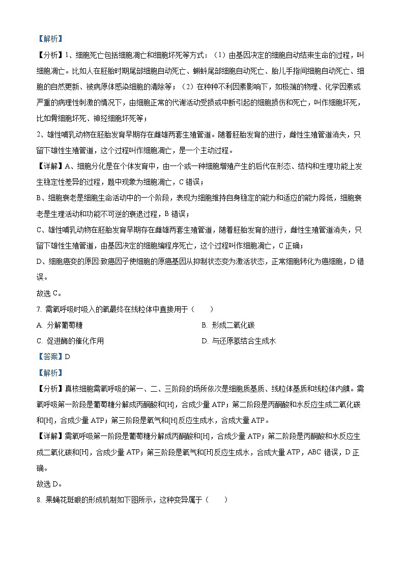 浙江省杭州市西湖区西湖高级中学2023-2024学年高一下学期5月月考生物试题（学生版+教师版）03
