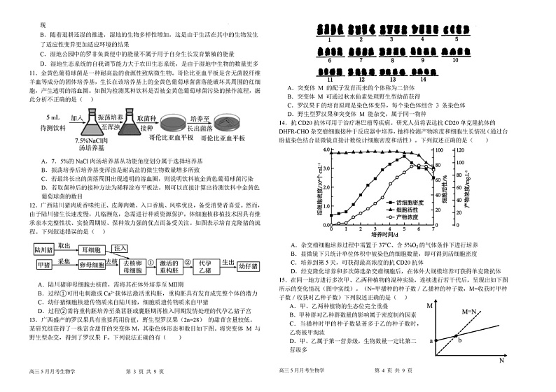 2024广西南宁二中高三五月考生物试题及答案第2页