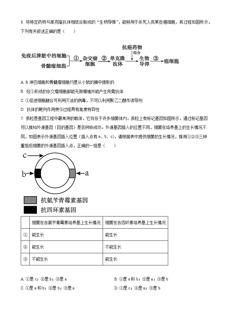 广东省四会中学、广信中学2023-2024学年高二下学期第二次月考生物试题（学生版）第3页