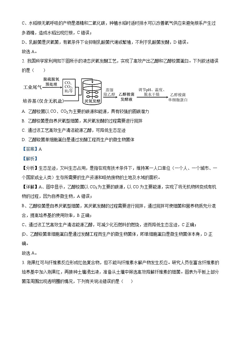 广东省四会中学、广信中学2023-2024学年高二下学期第二次月考生物试题（教师版）第2页