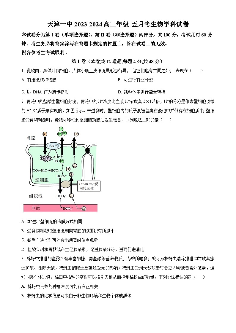 天津市第一中学2023-2024学年高三下学期5月月考生物试卷 （学生版+教师版）01