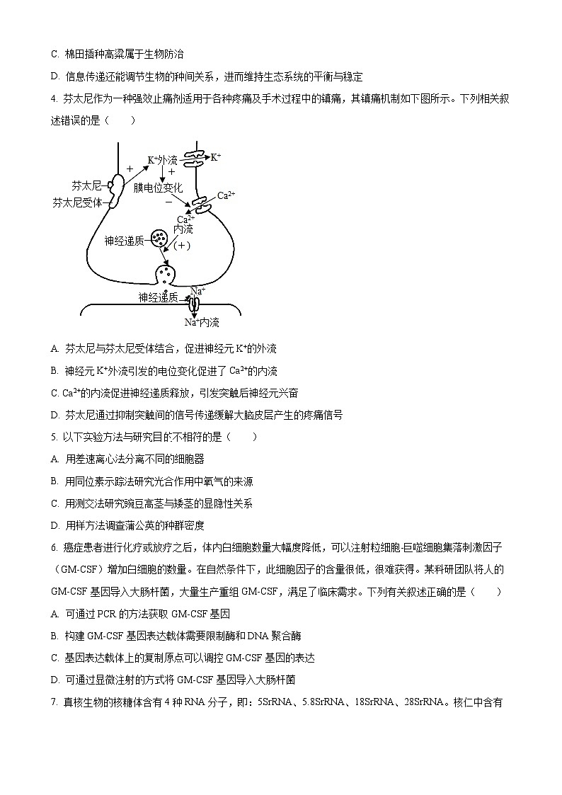 天津市第一中学2023-2024学年高三下学期5月月考生物试卷 （学生版+教师版）02