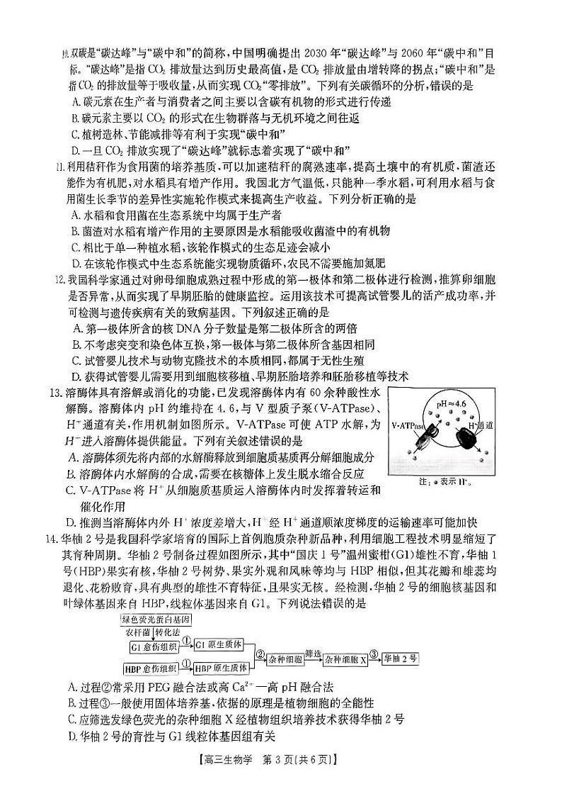 贵州省部分学校2024届高三下学期联考生物试卷第3页