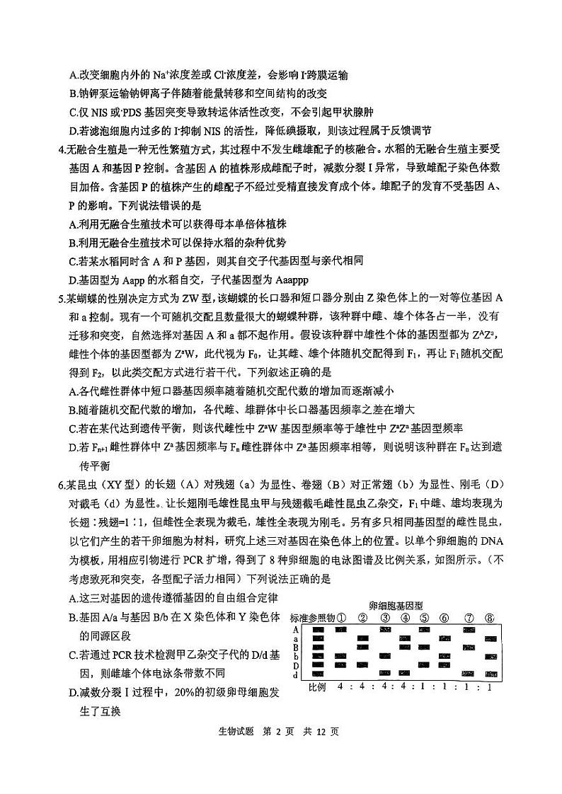 2024届山东省实验中学高三下学期5月二模生物试题第2页