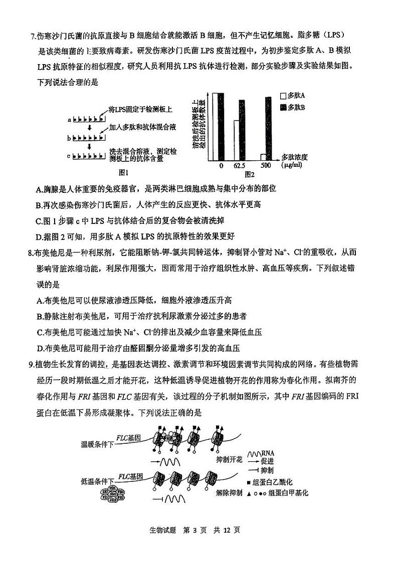 2024届山东省实验中学高三下学期5月二模生物试题第3页