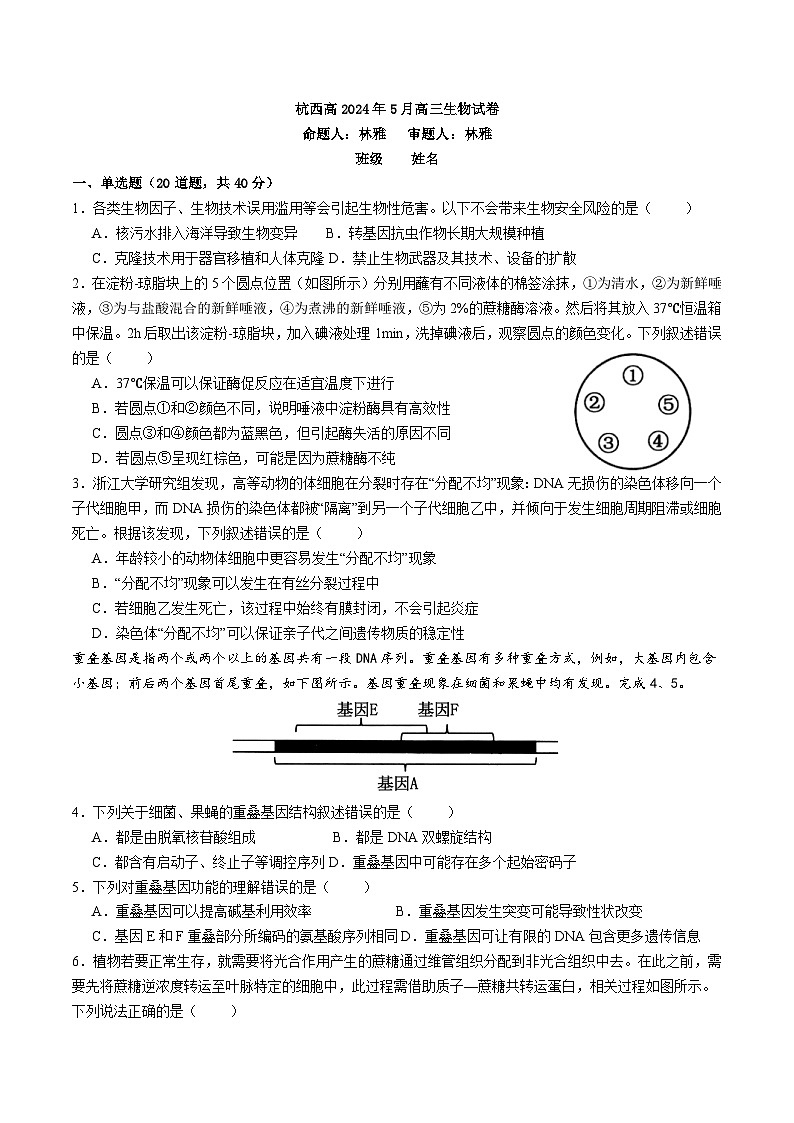 2024届浙江省杭州市西湖区西湖高级中学高三下学期5月模拟预测生物试题01
