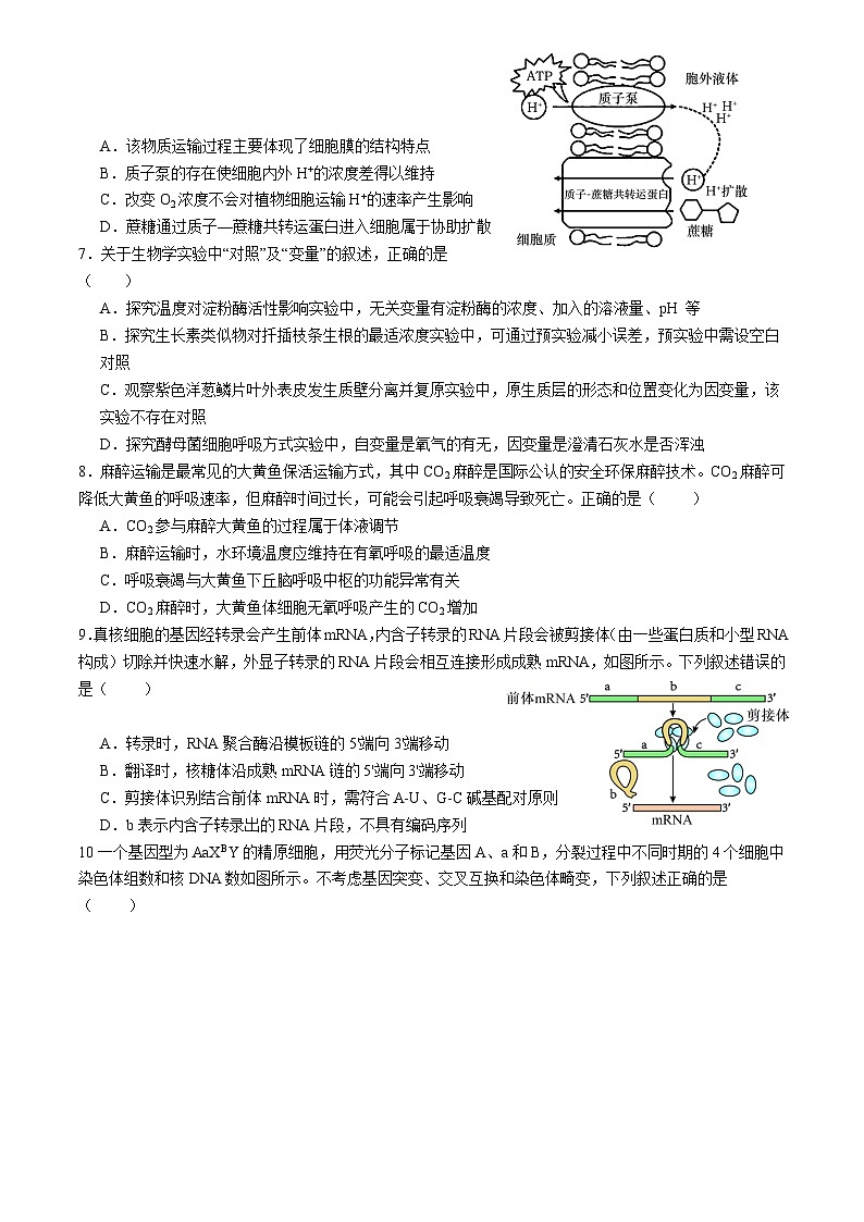 2024届浙江省杭州市西湖区西湖高级中学高三下学期5月模拟预测生物试题02