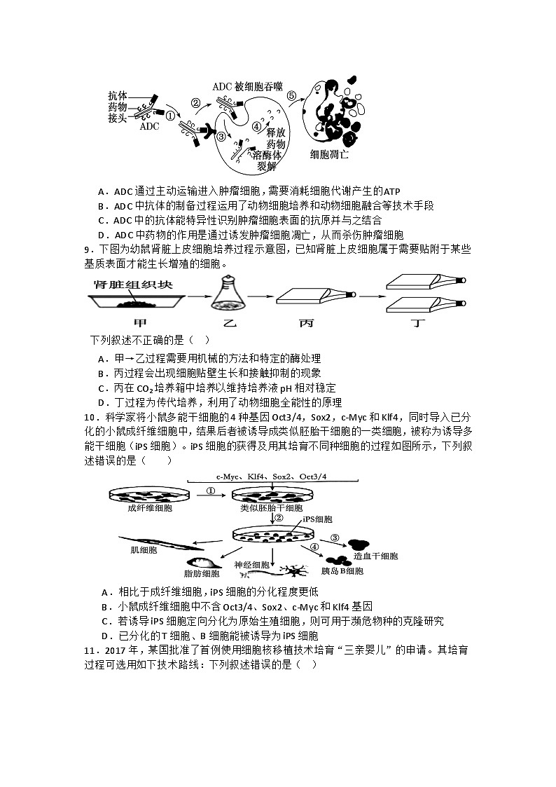 福建省龙岩市连城县第一中学2023-2024学年高二下学期5月月考生物试题03