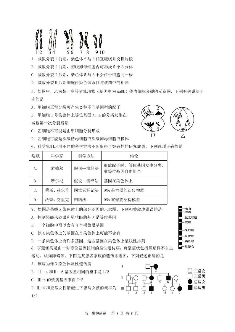 广东省江门市新会第一中学等2023-2024学年高一5月联考生物试题第2页