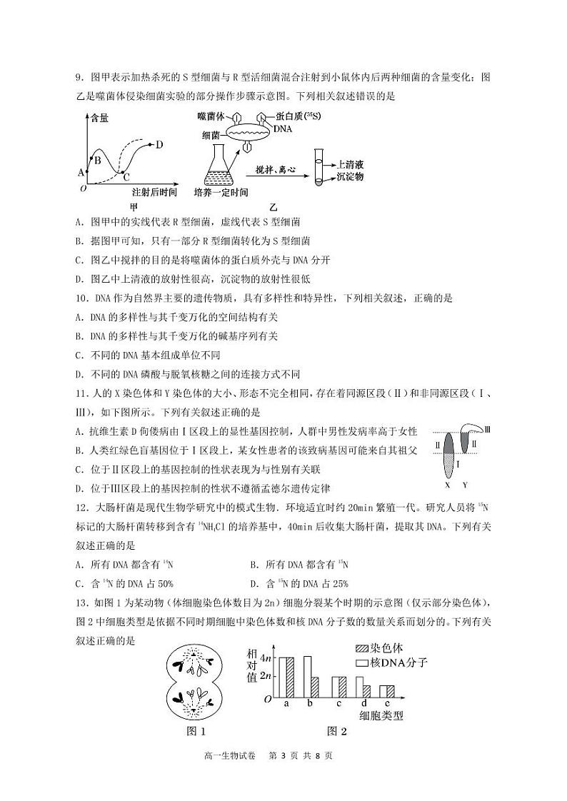 广东省江门市新会第一中学等2023-2024学年高一5月联考生物试题第3页