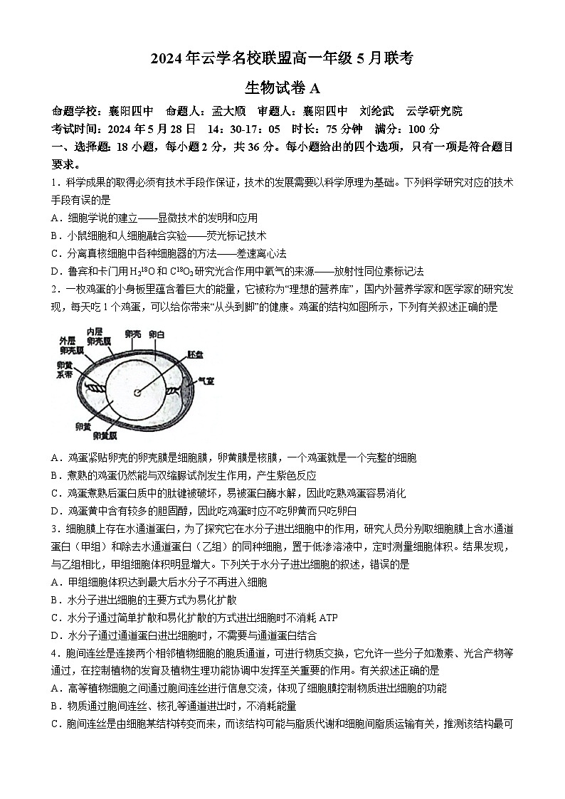 湖北省云学名校新高考联盟2023-2024学年高一下学期5月联考生物试题（Word版附解析）第1页