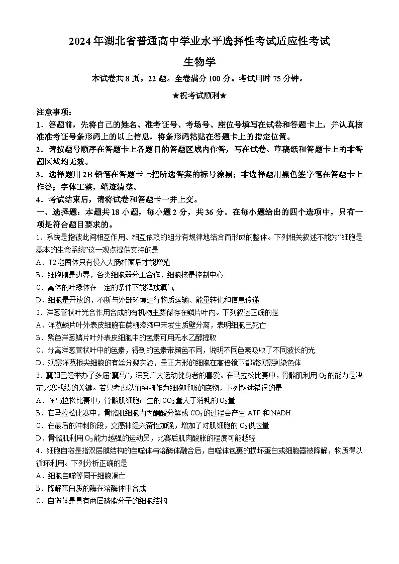 湖北省襄阳市第四中学2024届高三下学期一模生物试题（Word版附答案）01