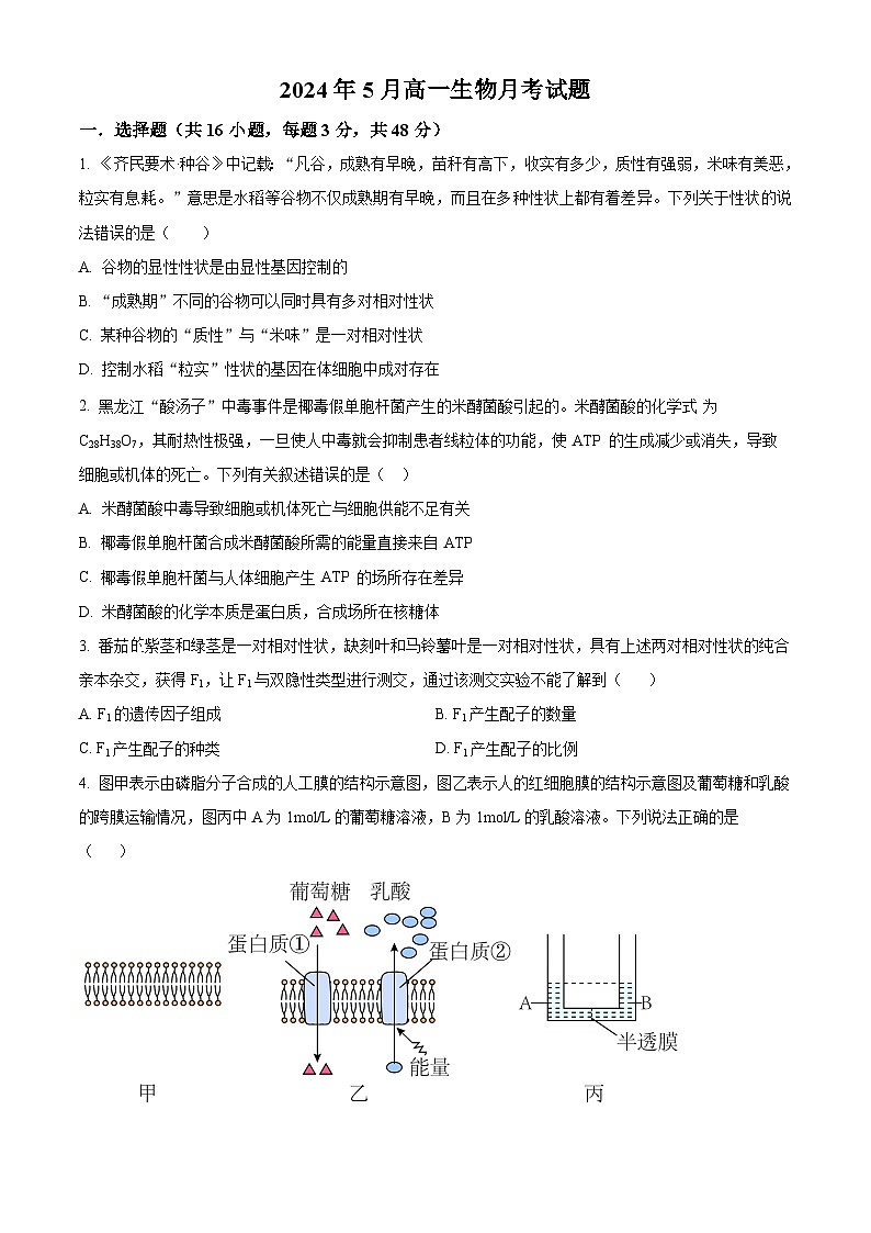 湖南省岳阳市岳汨五月联考2023-2024学年高一下学期5月月考生物试题（Word版附解析）01