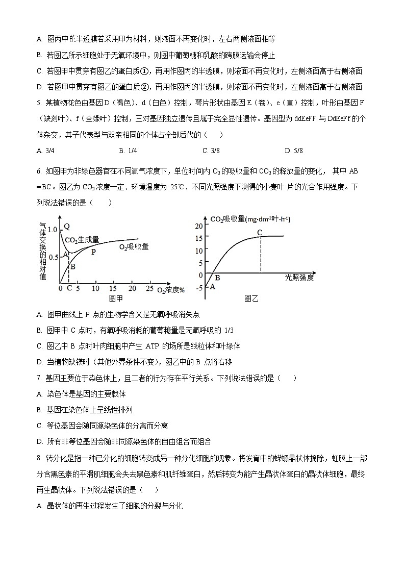 湖南省岳阳市岳汨五月联考2023-2024学年高一下学期5月月考生物试题（Word版附解析）02