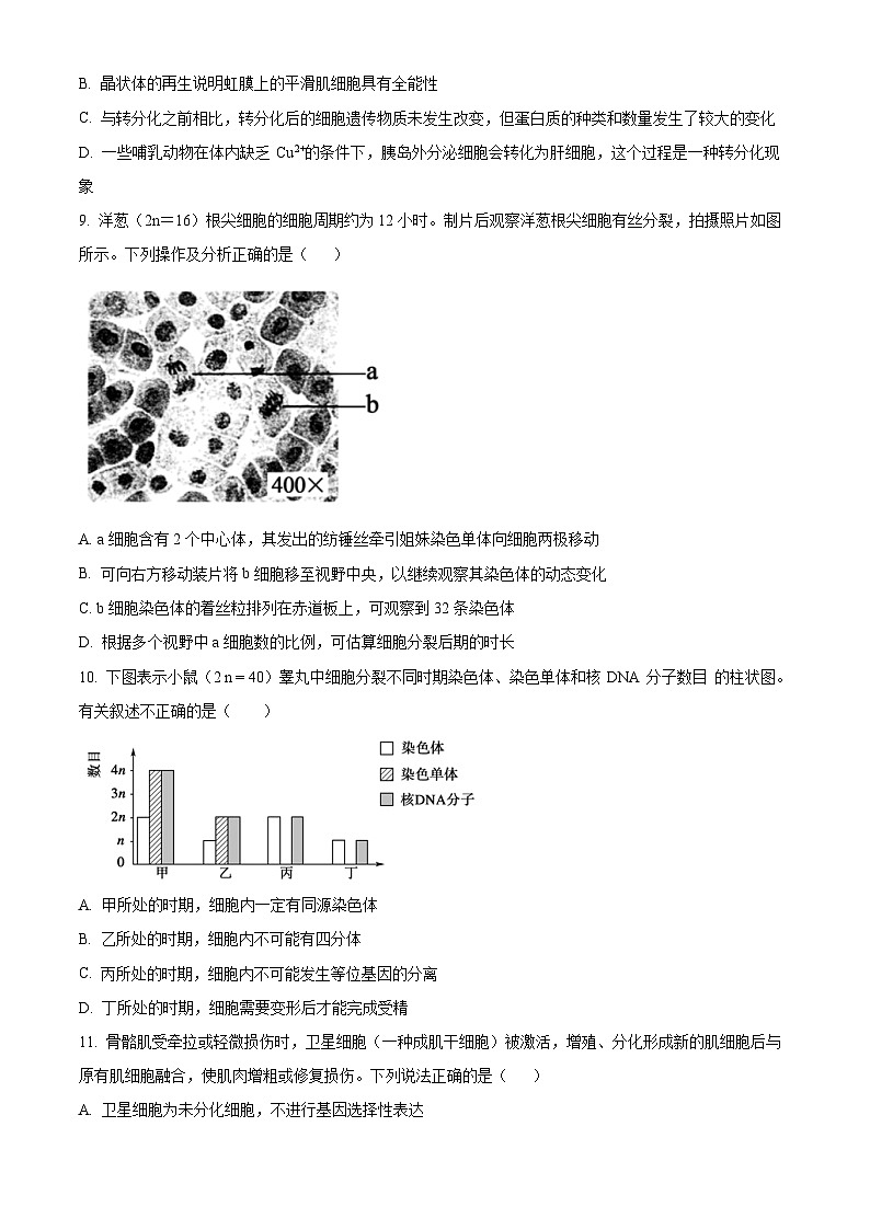 湖南省岳阳市岳汨五月联考2023-2024学年高一下学期5月月考生物试题（Word版附解析）03