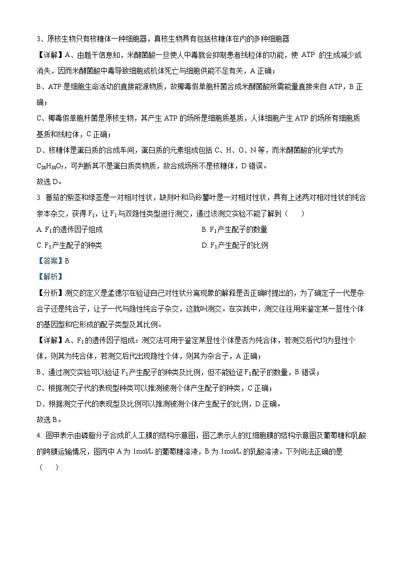 湖南省岳阳市岳汨五月联考2023-2024学年高一下学期5月月考生物试题（Word版附解析）02