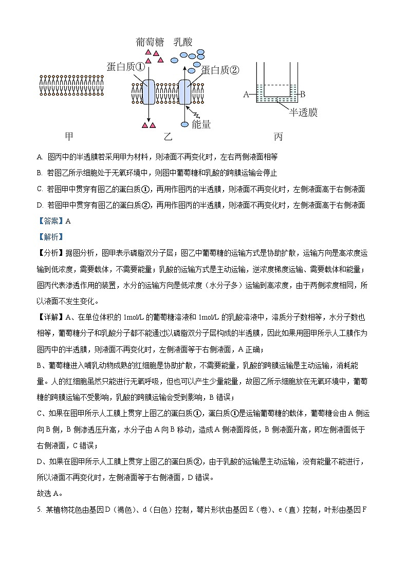 湖南省岳阳市岳汨五月联考2023-2024学年高一下学期5月月考生物试题（Word版附解析）03