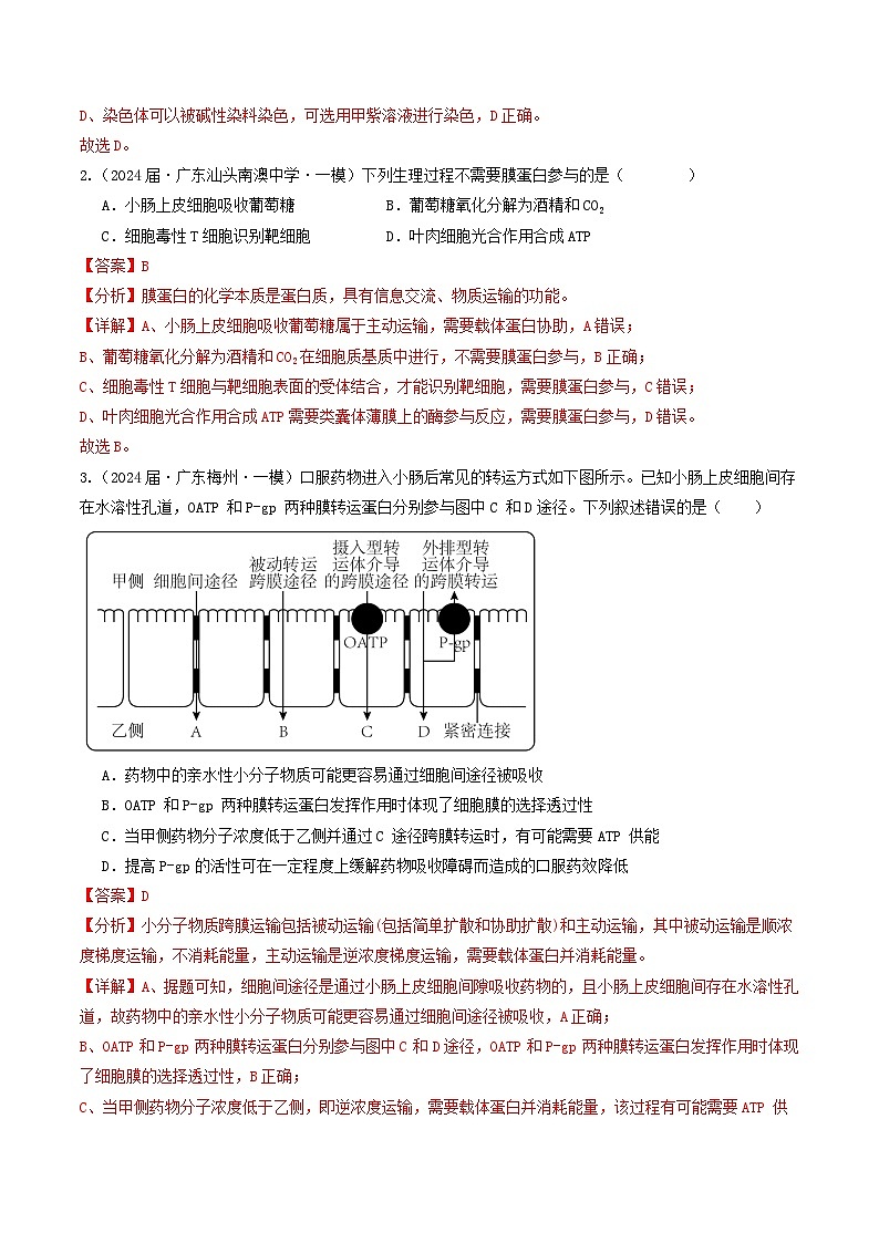 专题02 物质的运输、酶和ATP-【分项汇编】2024年高考生物一模试题分类汇编（广东专用）02