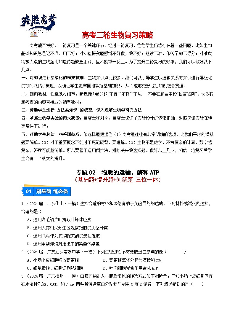 专题02 物质的运输、酶和ATP-【分项汇编】2024年高考生物一模试题分类汇编（广东专用）01