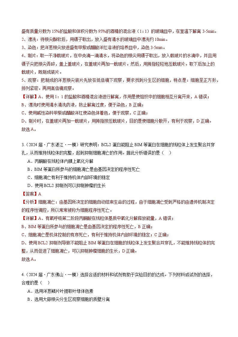 专题04 细胞的生命历程-【分项汇编】2024年高考生物一模试题分类汇编（广东专用）02