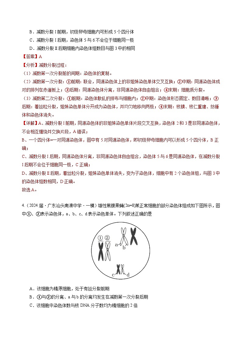 专题05 遗传的规律及应用（解析版）第3页