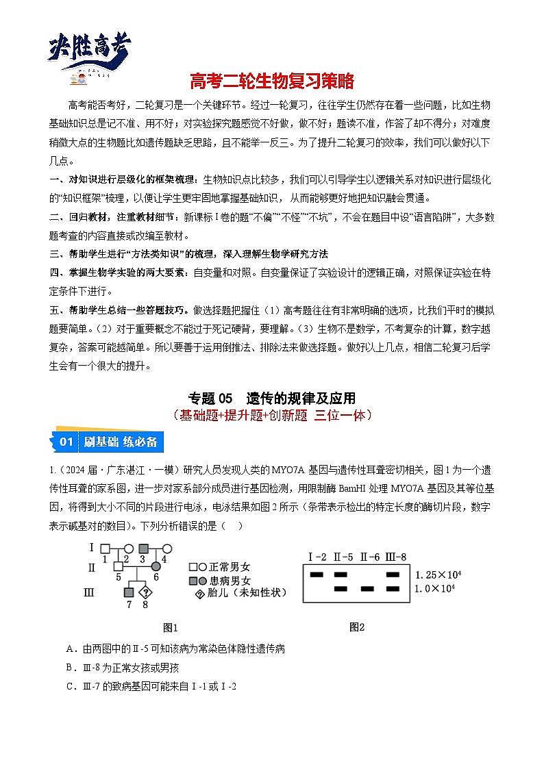 专题05 遗传的规律及应用（原卷版）第1页