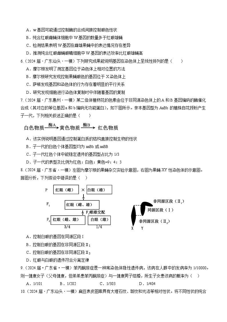 专题05 遗传的规律及应用（原卷版）第3页