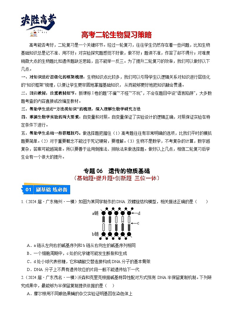 专题06 遗传的物质基础-【分项汇编】2024年高考生物一模试题分类汇编（广东专用）01