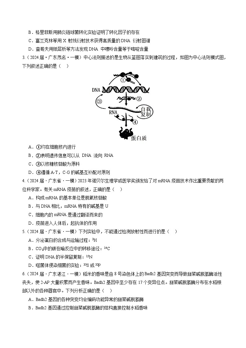 专题06 遗传的物质基础-【分项汇编】2024年高考生物一模试题分类汇编（广东专用）02