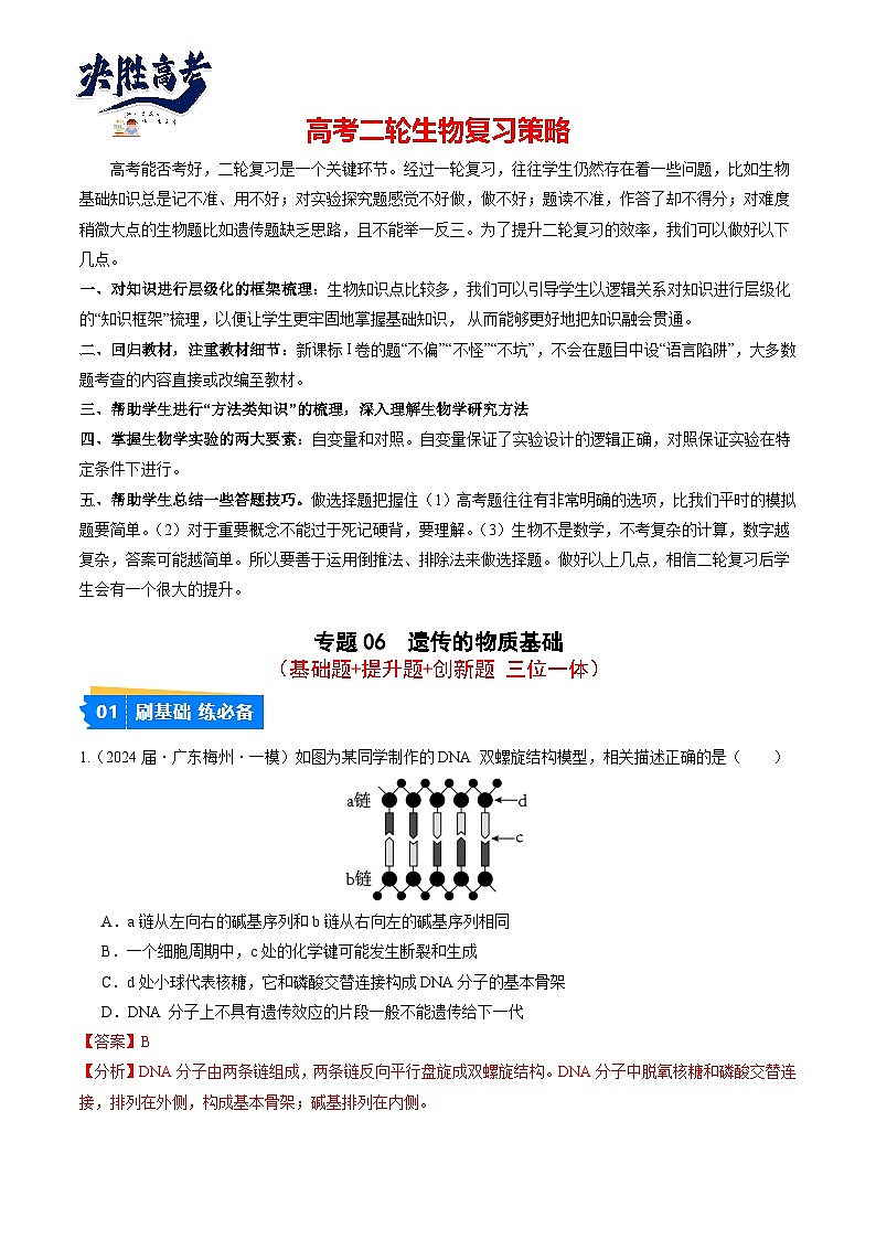 专题06 遗传的物质基础-【分项汇编】2024年高考生物一模试题分类汇编（广东专用）01