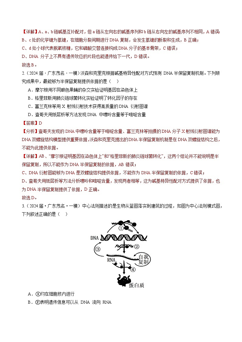专题06 遗传的物质基础-【分项汇编】2024年高考生物一模试题分类汇编（广东专用）02