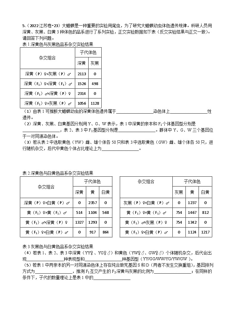 专题04 遗传的基本规律-分项汇编3年（2021-2023）高考1年模拟生物真题分项汇编（江苏专用）03