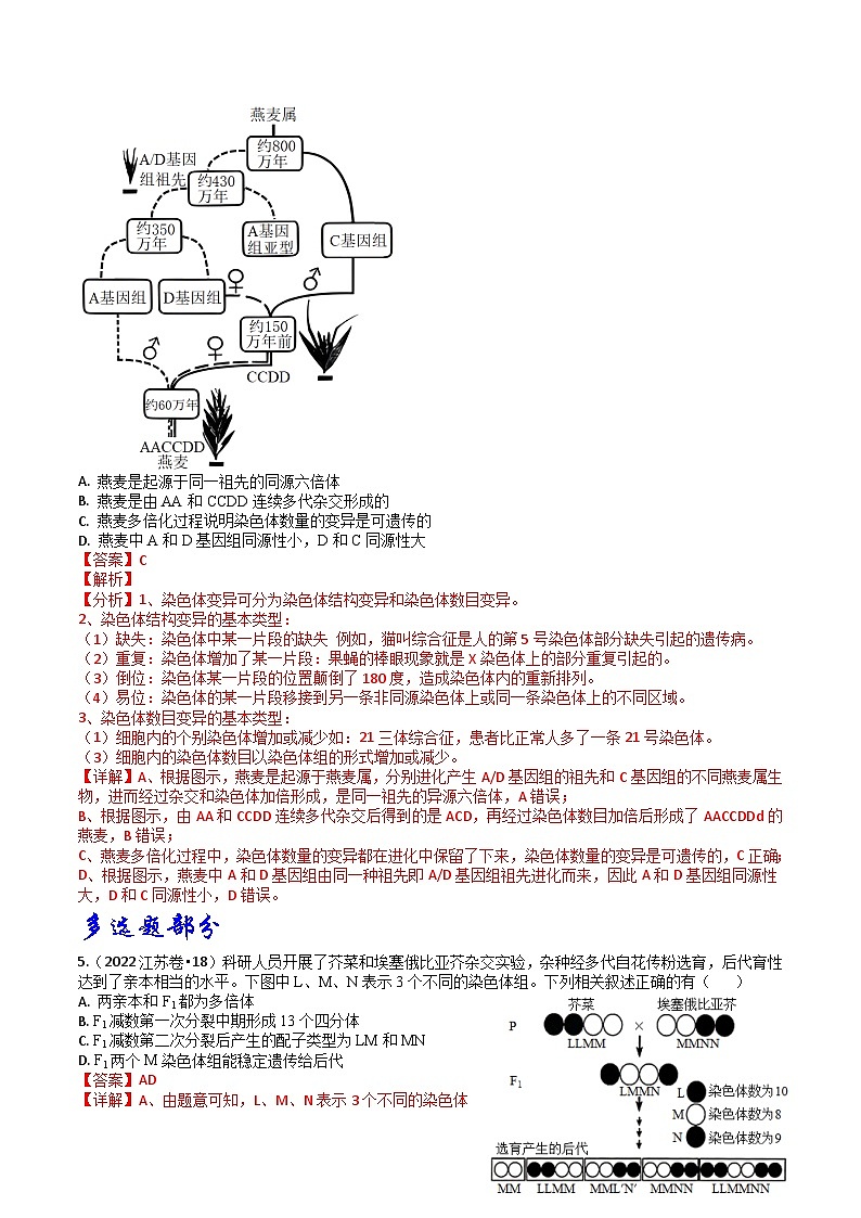 专题06 生物的变异、育种和进化-3年（2021-2023）高考1年模拟生物真题分项汇编（江苏专用）03
