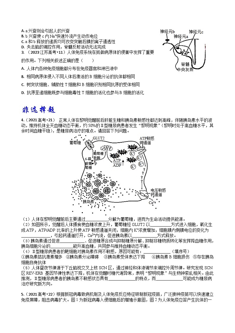专题08 动物生命活动的调节-3年（2021-2023）高考1年模拟生物真题分项汇编（江苏专用）02