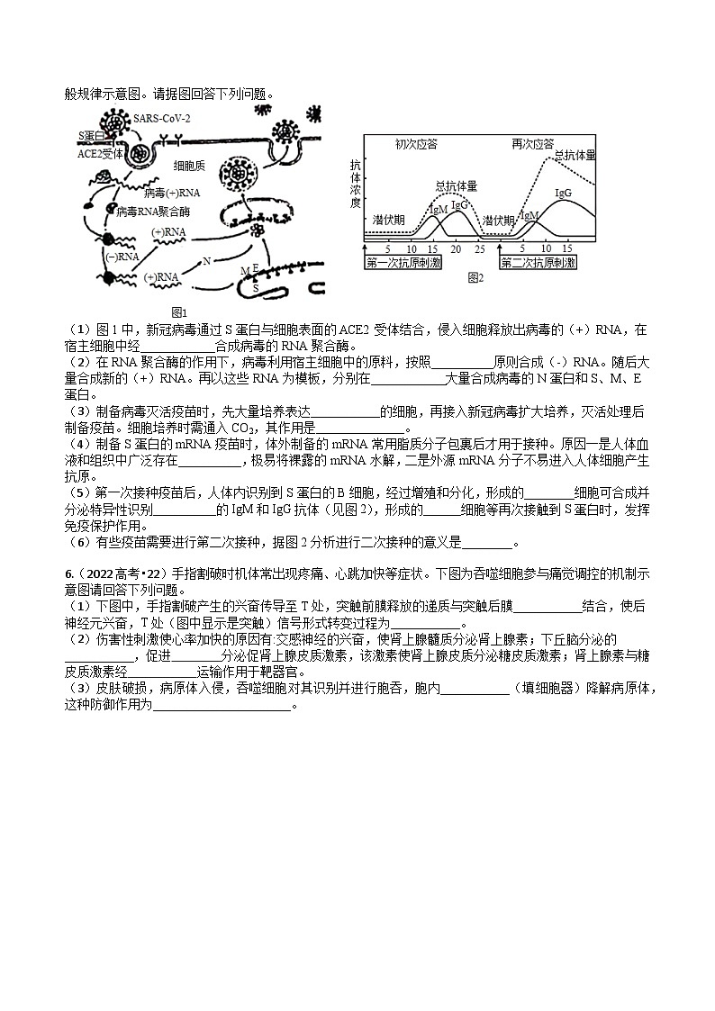 专题08 动物生命活动的调节-3年（2021-2023）高考1年模拟生物真题分项汇编（江苏专用）03