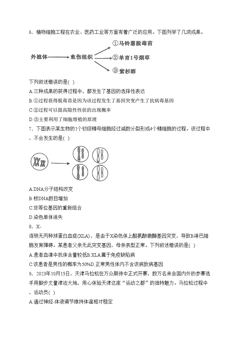 天津市十二区县重点校2024届高三下学期第一次模拟考试生物试卷(含答案)第2页