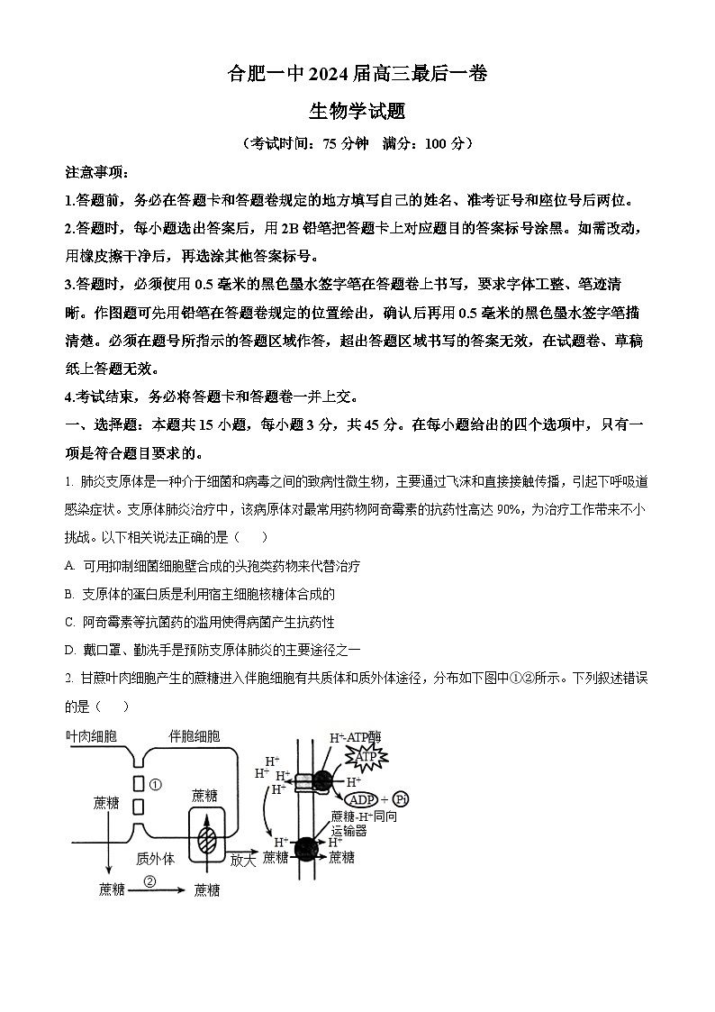 2024届安徽省合肥市一中高三最后一卷（三模）生物试题（学生版）第1页