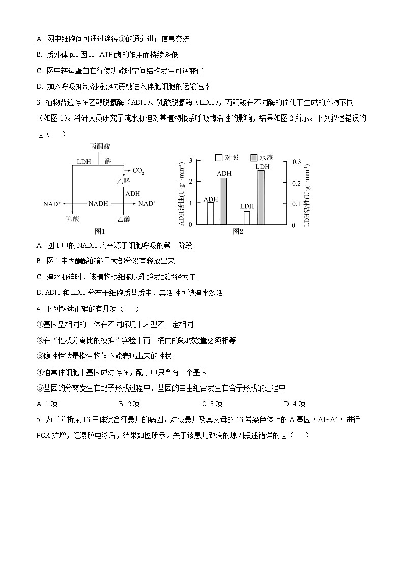 2024届安徽省合肥市一中高三最后一卷（三模）生物试题（学生版）第2页