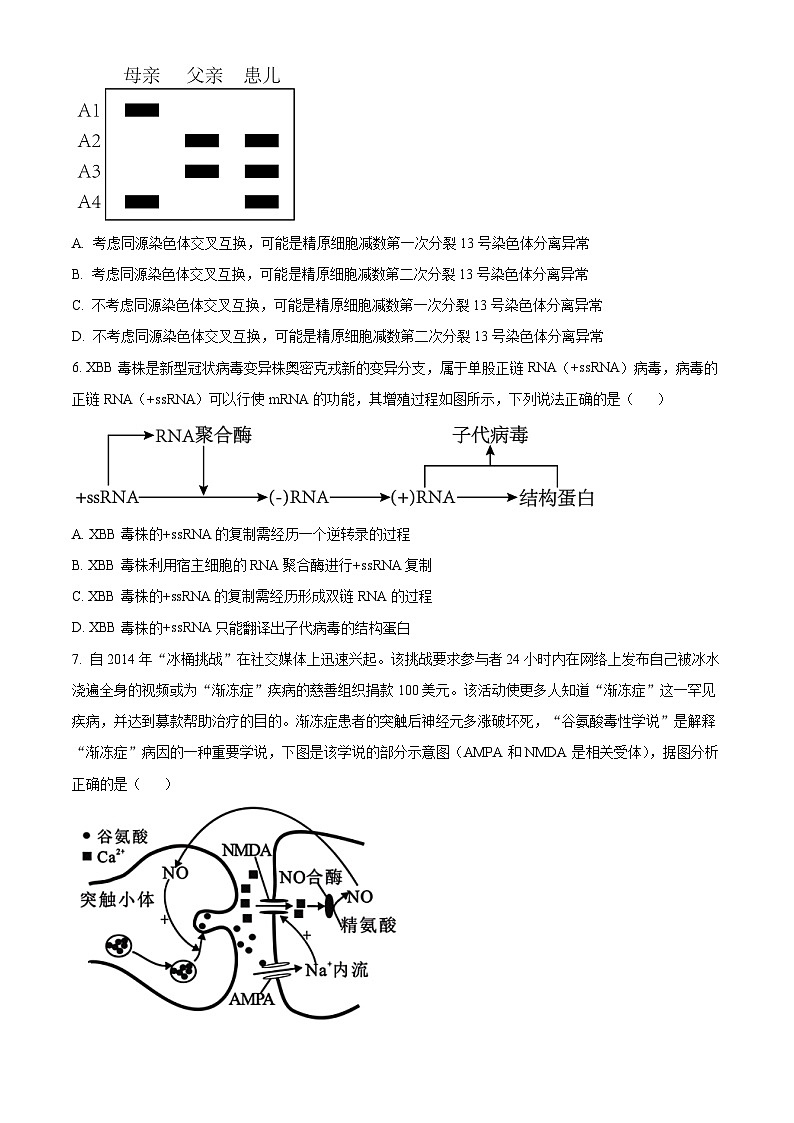 2024届安徽省合肥市一中高三最后一卷（三模）生物试题（学生版）第3页