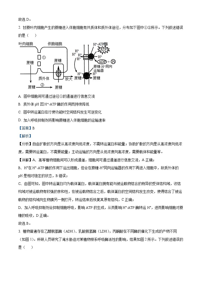 2024届安徽省合肥市一中高三最后一卷（三模）生物试题（教师版）第2页