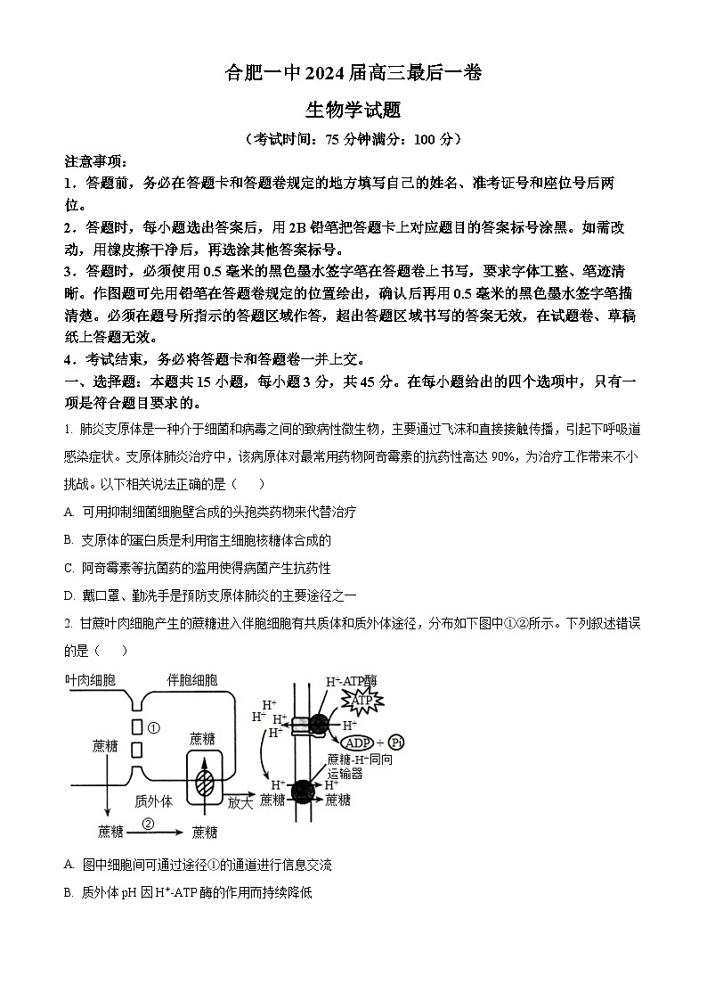 2024届安徽省合肥一中高三最后一卷生物试题（学生版）第1页