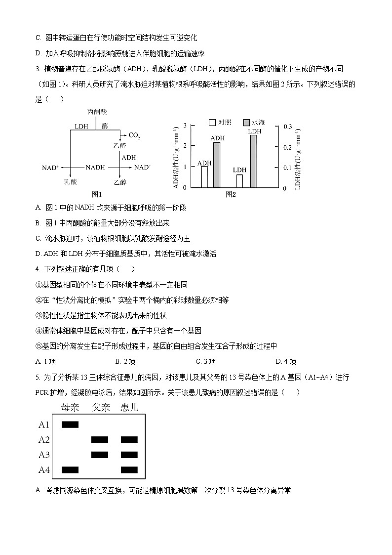 2024届安徽省合肥一中高三最后一卷生物试题（学生版）第2页